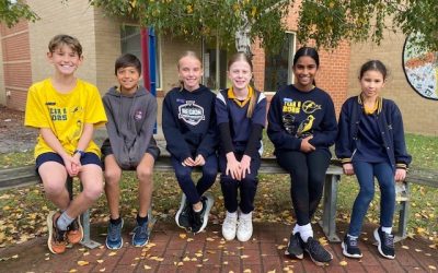 Divisional Cross Country